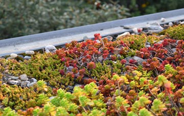 the cost of Sleight green roof installation