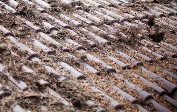 Sleight roof cleaning companies