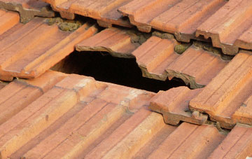 roof repair Sleight, Dorset