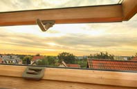 rated Sleight roof window companies